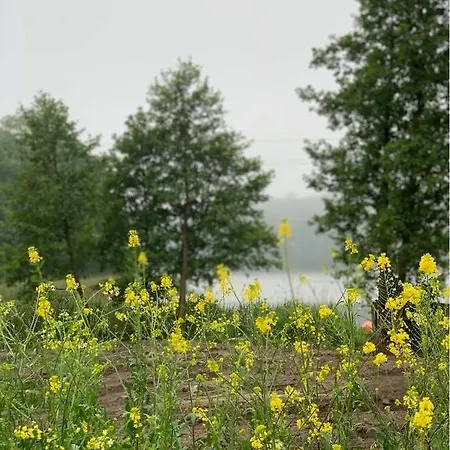 Camping Miedzy Nami Nad Jeziorem Kołczewo