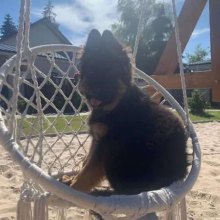 Campeggio Miedzy Nami Nad Jeziorem *