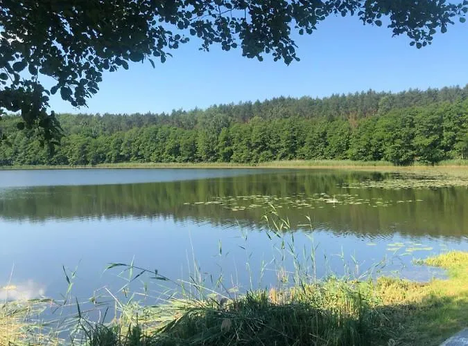 Miedzy Nami Nad Jeziorem