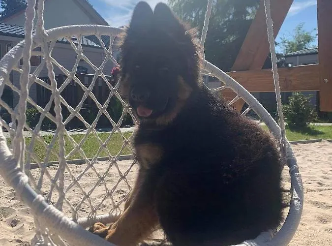 Campsite Miedzy Nami Nad Jeziorem *