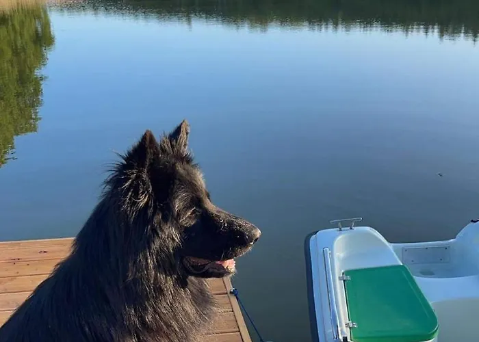 Miedzy Nami Nad Jeziorem Campsite *