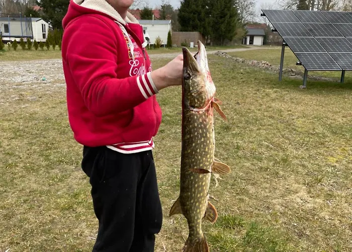 Miedzy Nami Nad Jeziorem Kolczewo