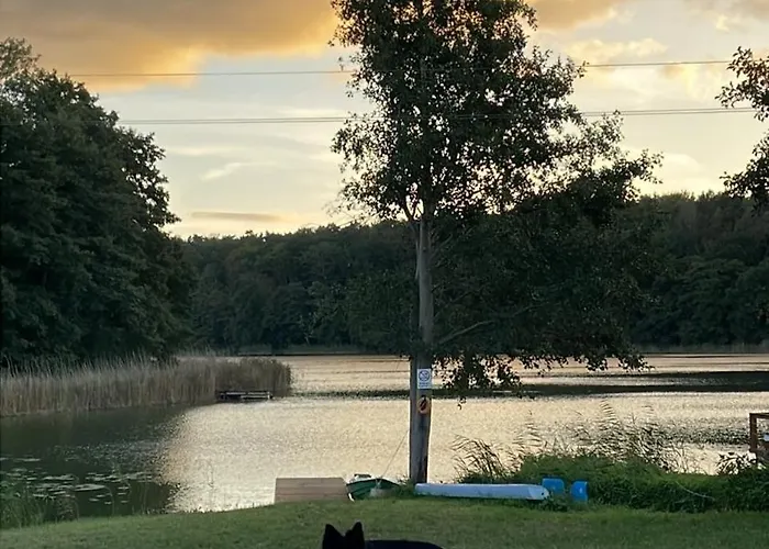 Campsite Miedzy Nami Nad Jeziorem